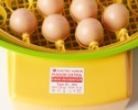 Automata keltető  PUISOR IO-204 AUTOMATIC (51 tojásra) exotikus madarak és csúszómászók keltetésére