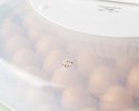 Automata keltető  PUISOR IO-204 AUTOMATIC (51 tojásra) exotikus madarak és csúszómászók keltetésére