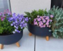 Virágcserép GRACIA LOW antracit 28,5 cm