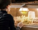 Infralámpa kapcsoló nélkül, Ø 21 cm-es alumínium búrával.