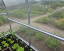 Üvegház LANITPLAST KYKLOP2 2x4 m PC 4 mm