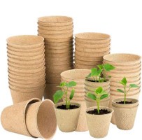 Papír palántanevelő cserép 8x8 cm - 20 db