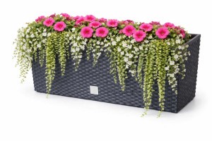 Balkonláda RATO CASE 58 cm antracit