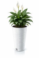 Virágcserép FURU SLIM 30 cm fehér
