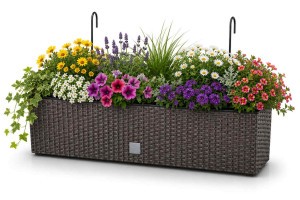 Felakasztható balkonláda RATO CASE 58 cm barna 