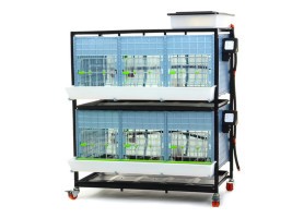 Baromfi nevelő CIMUKA CB40-03-2K