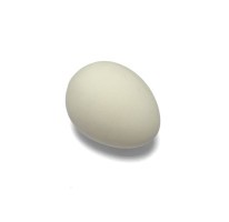 Műanyag tojás tojásrakáshoz, nagyobb baromfi számára