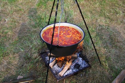 Hogyan válasszuk ki a megfelelő borgácsot? Segítünk a választásban!