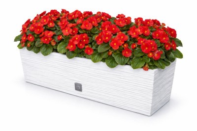 Balkonláda FURU CASE 58 cm fehér