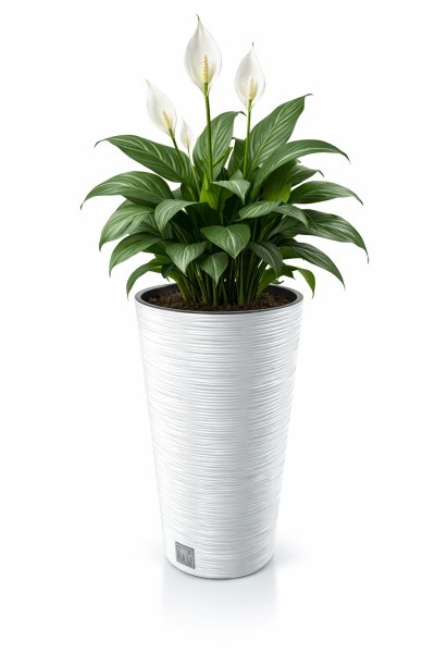 Virágcserép FURU SLIM 30 cm fehér